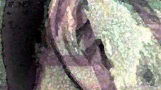 BIG FAT SNAKE - PLAY IT BY EAR