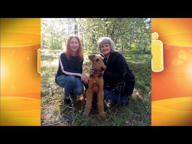 Живая среда