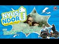 Ipunk Rimba Raya Nyusu Ndor Official Music Video