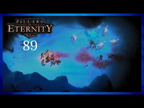 Pillars of Eternity - Part 89 | The Druid Wolf [The White March Pt. 1]