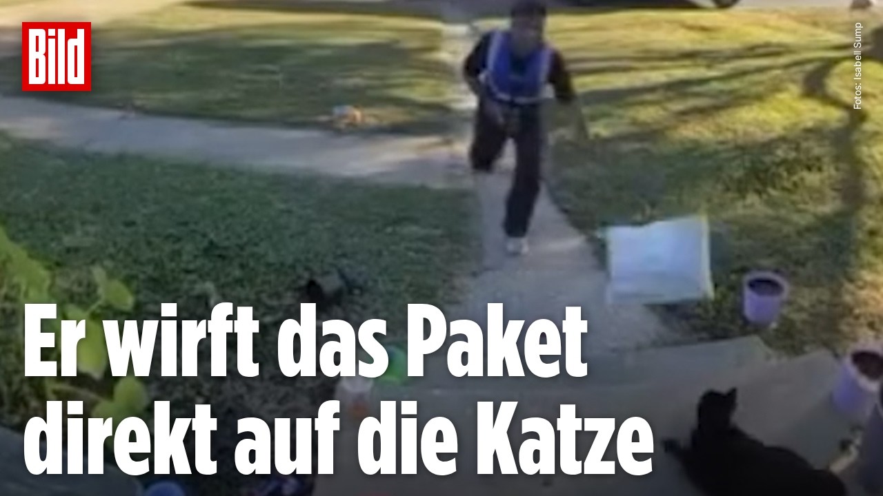 WER TUT SO ETWAS?! Überwachungskamera enttarnt Paketboten als Tierquäler