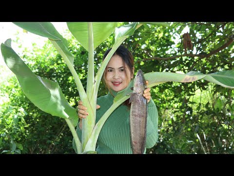 Awesome Cooking Banana Tree With Big Fish Recipe Delicious In My Village - Village Food Factory