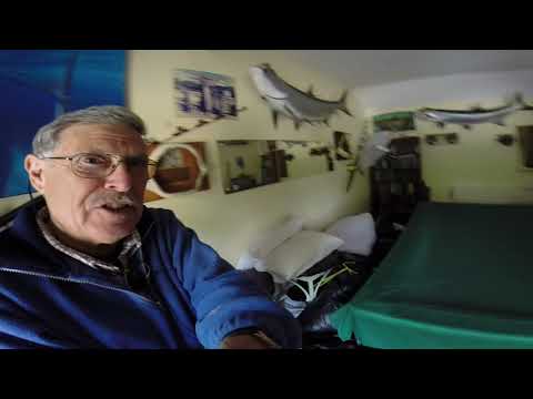 Lockdown Fever - Growing Potatoes, more Jobs to do!