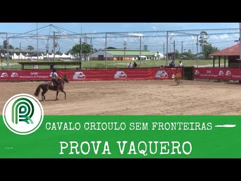 Programa Cavalo Crioulo Sem Fronteiras - Prova Vaquero