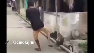 Download lagu video lucu orang dikejar monyet pake bahasa jawa ngakak mp3