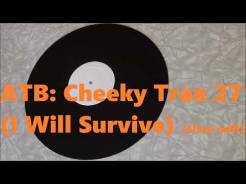 ATB: CHEEKY TRAX 27 (I Will Survive) WHITE LABEL