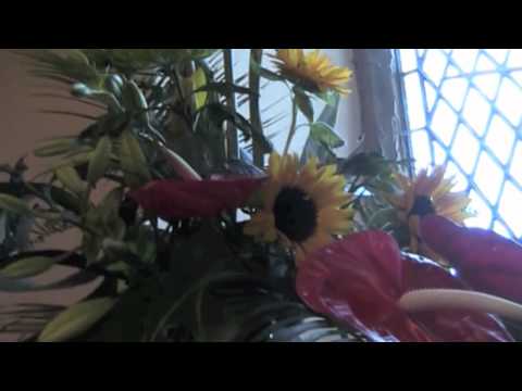 Flower festival, Saturday 26th May 2012