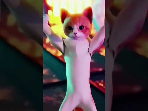 billi 😂#bilibili #viral😂 #foryou🤣 #funny #comedy #funnyvideo 😅#cobra #cat #cute 🤣#catlover