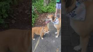 Download lagu October 5, 2021(1) mp3