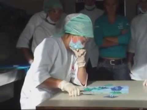 Apollonia 2008-2009 (deel 1)