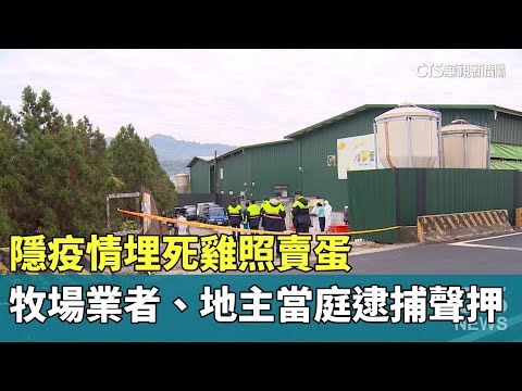 隱疫情埋死雞照賣蛋　牧場業者、地主當庭逮捕聲押