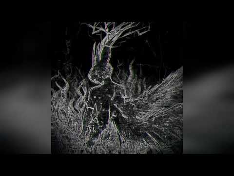 ZXCURSED X SHADOWRAZE X PHONK TYPE BEAT. DOTA/BRAWL RAP