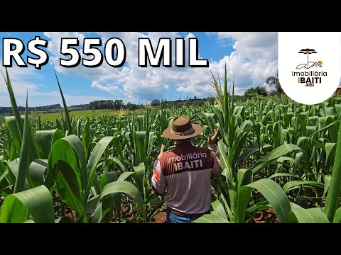 CHÁCARA SÍTIO PANORÂMICO TERRA ROXA IDEAL PRA LAVOURA R$ 550 MIL - Código: 2615