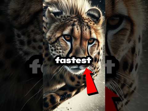 TOP 3 FASTEST ANIMAL #scary #scarystory #viralvideo #shortvideo #fast