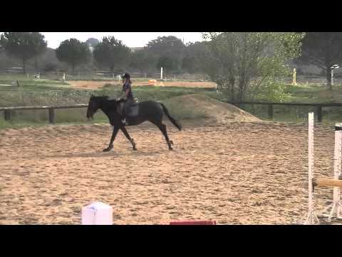 Ultime des Roses par Sinjar 4 ans AQPS