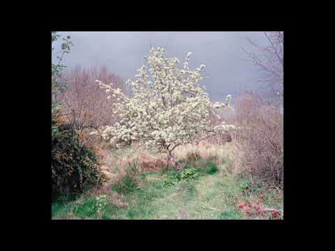 [FREE] h jeunecrack + realo + luther type beat - "clique" (p. 6min)