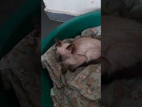 Vídeo de Yago 