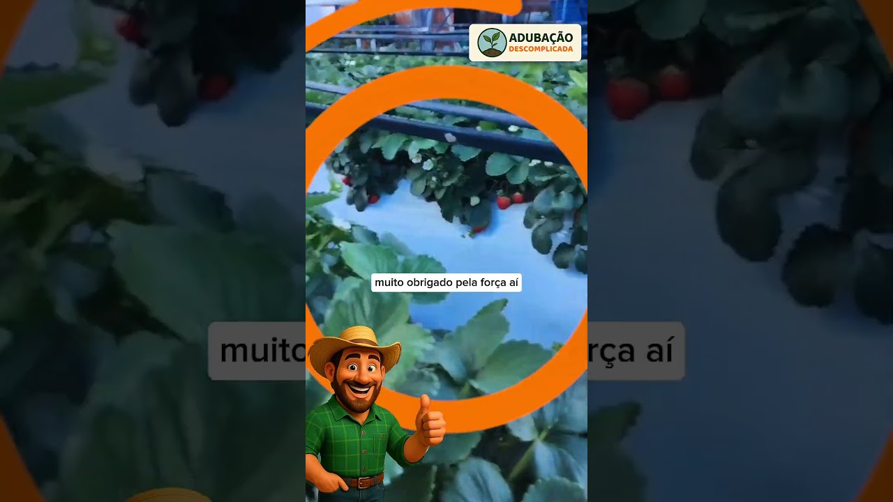 Resultados incríveis