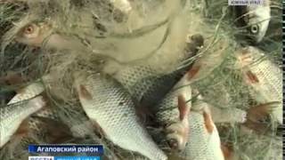 Где поймать щуку в магнитогорске