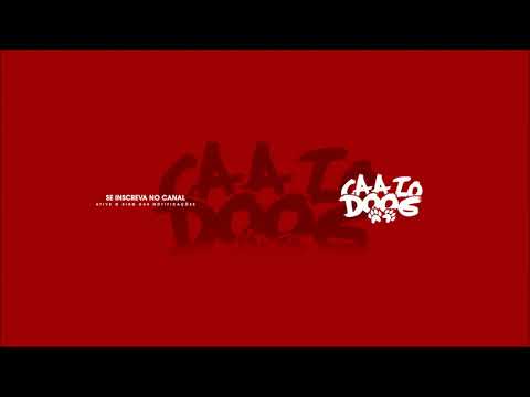 MC Torugo, Mc Tio Jota e Mc Denny - Na Tropa Só Bandido ( DJ Caaio Doog )