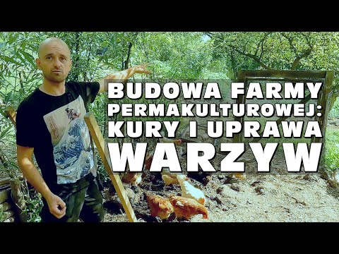 Building a Permaculture Farm, Part 2: Chickens and Vegetable Gardens