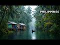 NATURAL WONDERS The Wildest Places In The Philippines 4K Documentary
