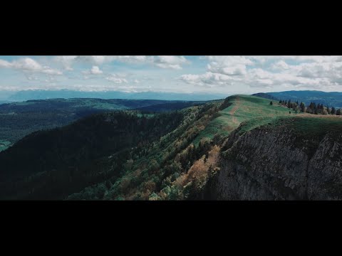 Visceral Original Respect & @iziko.officiel  - PLS ( Clip Officiel )