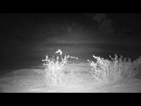 Djuma: Rain storms in Djuma - 22:03 - 11/19/19