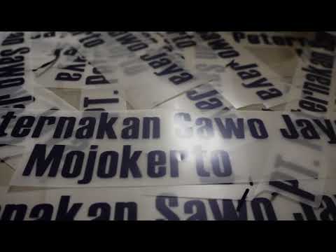 MYPOLY - Project Clothes PT. Peternakan Sawo Jaya