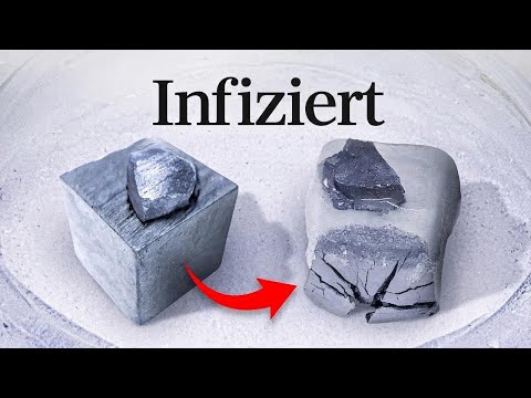 Video Thumbnail: Mit dieser Katastrophe hätte ich nie gerechnet