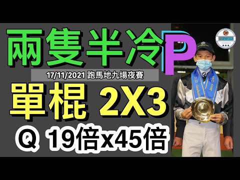 [小梁論馬] 11月17號 谷草夜賽 | 兩隻半冷P | 單棍2X3 | Q 19倍x45倍 | 賽馬KOL-小梁@KleagueworkshopKen