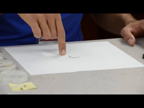 Metallographic preparation - Part 2: Longitudinal cross section mounting (cold mount)