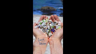 Download lagu The Most Sea Glass You Will Ever See! mp3