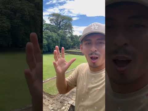 Las ruinaa de quirigua. Los amates. Izabal. Guatemala 🇬🇹 ❤️ #asl #guatemala #quirigua #deaf #100k