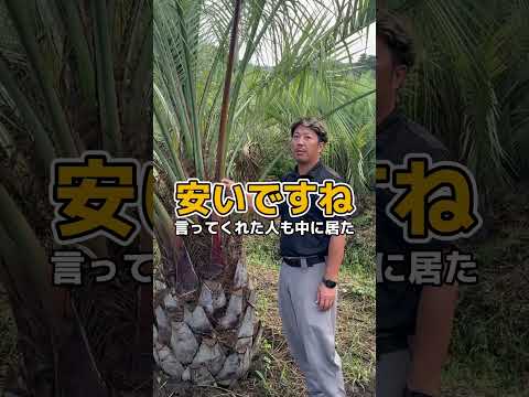 鳥を庭に引き寄せる植物は何ですか?一番人気の品種に注目！  庭園