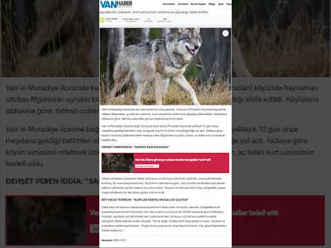YouTube video