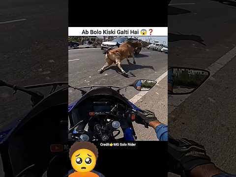 🥺Cow for pray 🙏 #sadmoment #bikelover #respect #cowlover #cowlife #rider