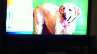 Download lagu Masala Cafe Kalakalappu mp3 Download lagu Masala Cafe Kalakalappu mp3