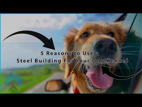 5 Reasons You Should Use a Steel Building for your Dog Kennel!