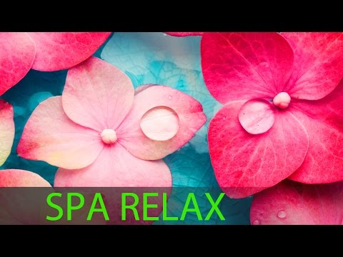6 Hour Super Relaxing Spa Music: Meditation Music, Massage Music, Relaxation Music, Soothing ☯594