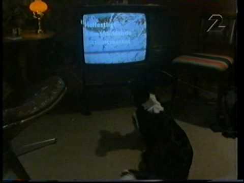 Sommar-Hajk - intro 2000