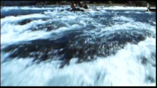 The River Wild – Trailer