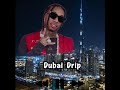 Dubai Drip - Tyga ( Ric Flair Drop Remix )