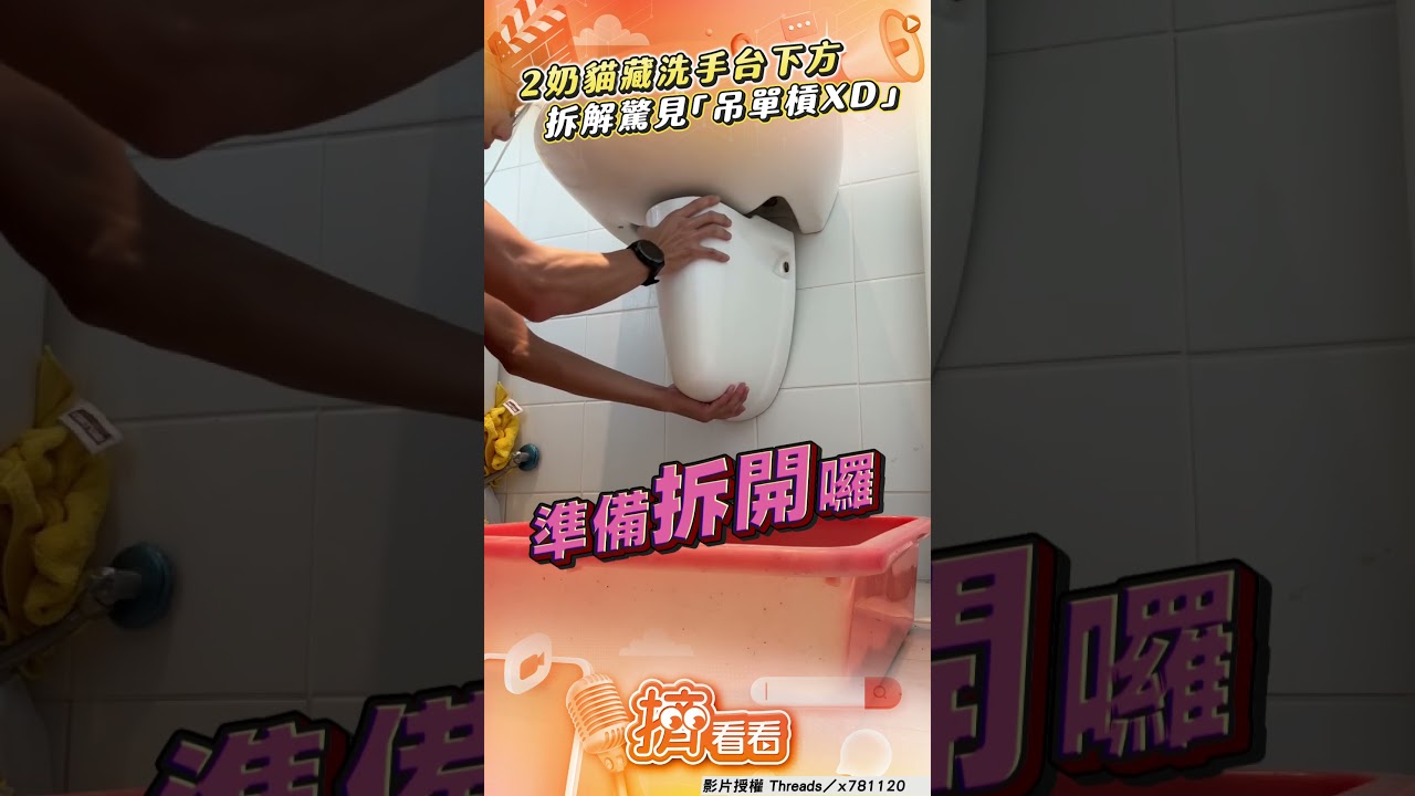 影音／2奶貓藏洗手台下「吊單槓」！　男拆解救援見這幕大嘆