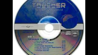 05. Taucher - Way To Your Heart (Temple Of Light Mix)(lossless sound)