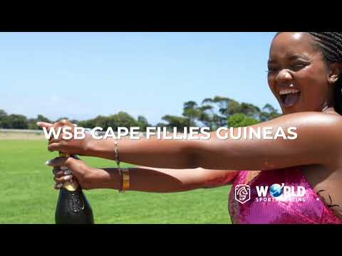 A highlight of the World Sports Betting Fillies Guineas Day on 03 December 2022