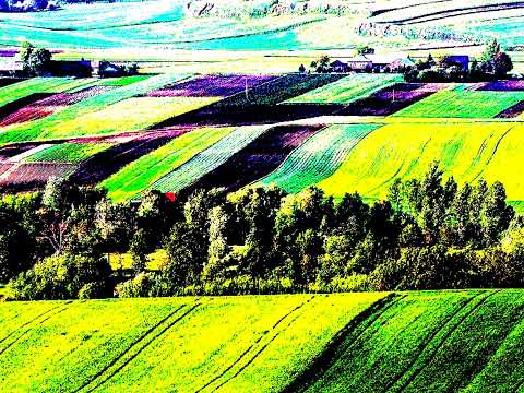 Marek Grechuta & Maryla Rodowicz - Czy to tu (1977)