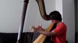 Lonnie Jordan-call me maybe-harp cover