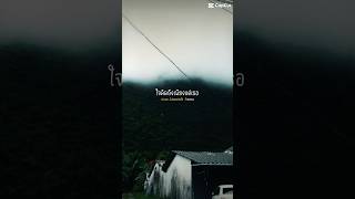 Download lagu คิดถึงกลิ่นธรรมชาติ🛣️ 🌿#ธรรมชาติบำบัด🌿🛣️ #ความทรงจำที่คิดถึง #เมืองสวยในหุบเขา mp3 Download lagu คิดถึงกลิ่นธรรมชาติ🛣️ 🌿#ธรรมชาติบำบัด🌿🛣️ #ความทรงจำที่คิดถึง #เมืองสวยในหุบเขา mp3