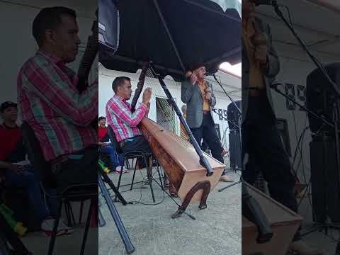 Mario Díaz El Poeta de Requena y Ridell Castro el Maestro del arpa